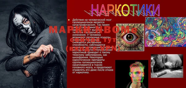 spice Кострома